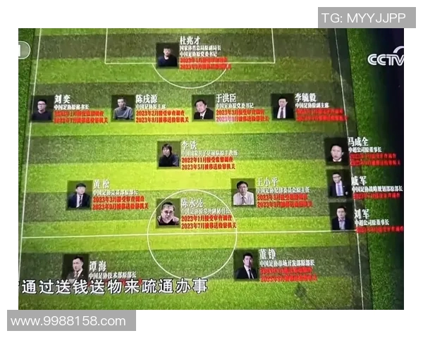 香港足球明星队各成员职责与分工详解图表分析